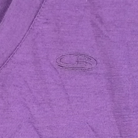 Icebreaker T Shirt Womens Medium Merino Wool Short Sleeve Purple Hiking Outdoors - Picture 3 of 12